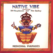 Native Vibe: Medicinal Purposes