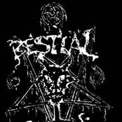 bestial cult