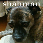 Shahman 7"