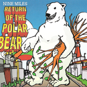 RETURN OF THE POLAR BEAR
