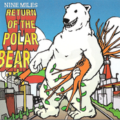 return of the polar bear