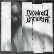 Bloodred Bacteria / Seven Minutes Of Nausea - split CD