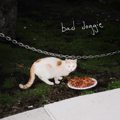 Bad Doggie