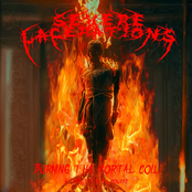 Burning The Mortal Coil