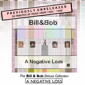 A Negative Loss