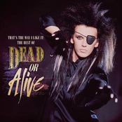 Lover Come Back (to Me) by Dead Or Alive