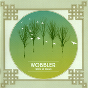 This Past Presence by Wobbler