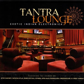 Tantra Lounge - Exotic Indian Electronica