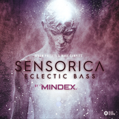 Mindex: Sensorica