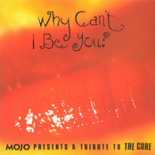 Strange As Angels: Why Can't I Be You: Mojo Presents A Tribute To The Cure