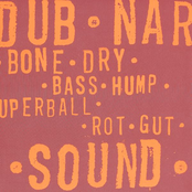 Bone Dry by Dub Narcotic Sound System
