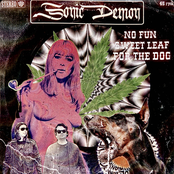 No Fun Sweet Leaf For The Dog (Ep)