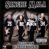 Seguimos Representando