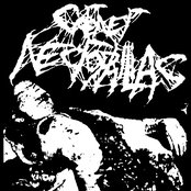 Entering The Corpus Mass