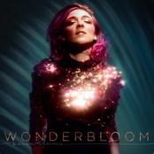 Becca Stevens: Wonderbloom