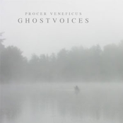 Greengrey Waters by Procer Veneficus