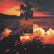 A Sense Of Purpose: The Wounds We Share