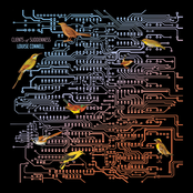 Clients of Suddenness