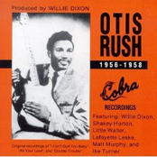 My Love Will Never Die by Otis Rush