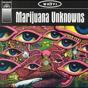 Marijuana Unknowns