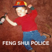 feng shui police