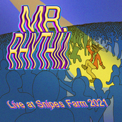 Mr. Rhythm (Live at Snipes Farm)