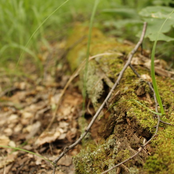 Неразобранное