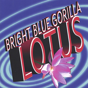 Silent Music by Bright Blue Gorilla