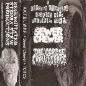 A Kitchen Trashbag Leaking With Pulpified Parts / Sewer Chewer / THECORPSEINTHECRAWLSPACE