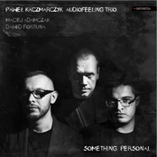 paweł kaczmarczyk audiofeeling trio