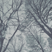 Spotlights (Lovelights)