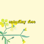 Saturday Rose - Single