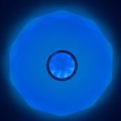 Perfect Hoax - Single