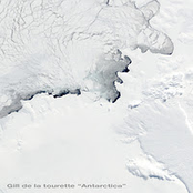"Antarctica"