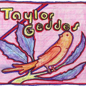 Taylor Geddes