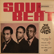 The Soul Beat by The Gaylads