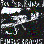 fungus brains