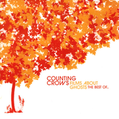 Counting Crows: Films About Ghosts: The Best of...