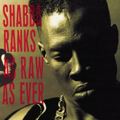 Where Does Slackness Come From by Shabba Ranks