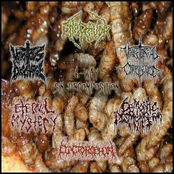 6-Way Sin Decomposition Split