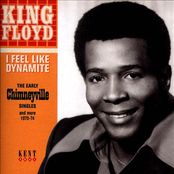 I Feel Like Dynamite: The Early Chimneyville Singles And More 1970-74