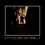 My Funeral by Les Fleurs Du Mal