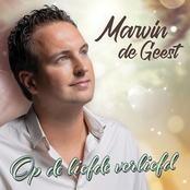 Op De Liefde Verliefd