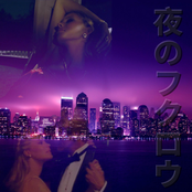 夜のフクロウ Nite Owls