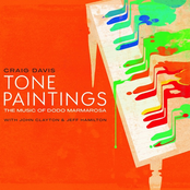 Tone Paintings