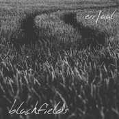 blackfields