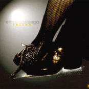 El Llorón by Electrocutango