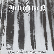 Flying Across the Misty Garden