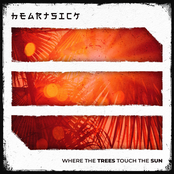 Heartsick: Where the trees touch the sun