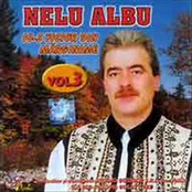 nelu albu